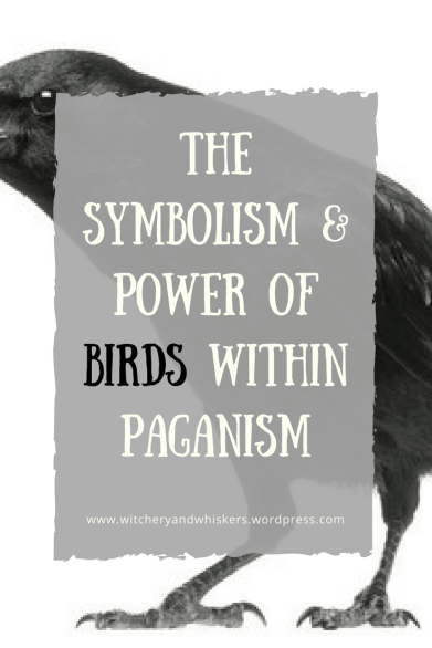 Banner The symbolism and power of birds within paganism